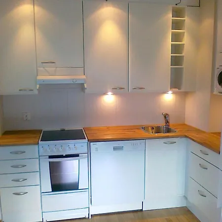 Modern In Leppaevaara * إسبو